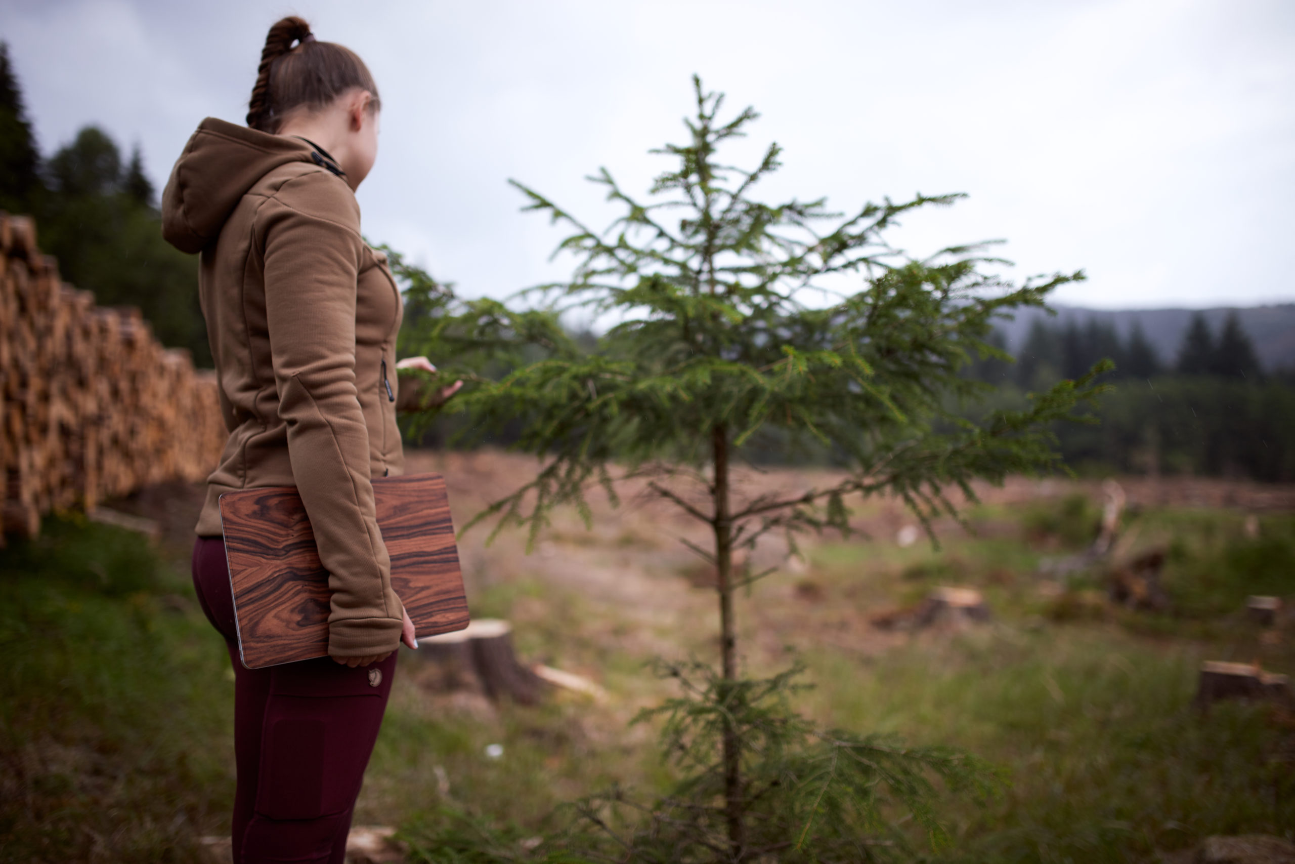 she wanders - Der-Wald-ruft-Waldwissen-aus-dem-Harz