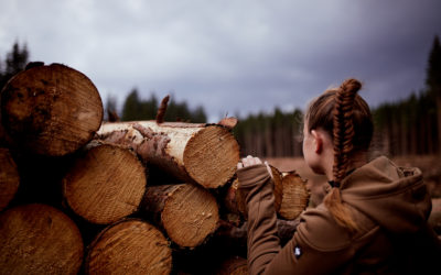 Der Harzer Wald im Wandel: Von der Fichten-Monokultur zum naturnahen Mischwald