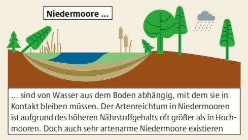 Grafik und Definition der Niedermoore.